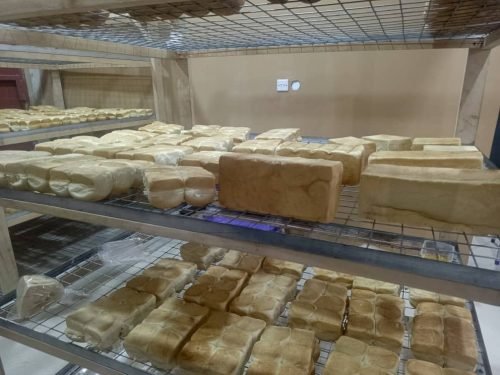 WhatsApp Image 2026-01-23 at 10.52.01 AM