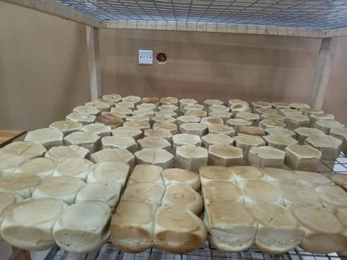 WhatsApp Image 2026-01-23 at 10.52.07 AM