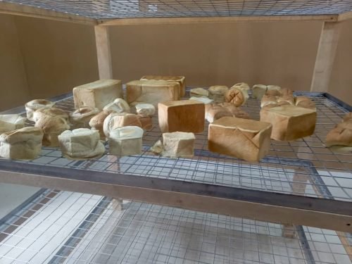 WhatsApp Image 2026-01-23 at 10.52.08 AM